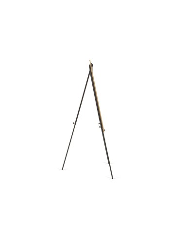 PIZARRA BL.ROCADA TRIPODE LACADA MAG BRAZO EXTENSI ROBLE 69X99CM