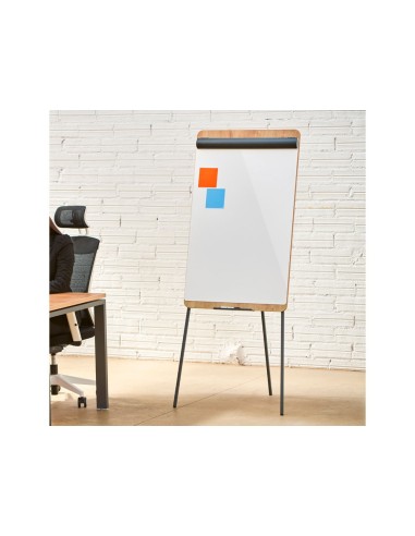 PIZARRA BL.ROCADA TRIPODE LACADA MAG BRAZO EXTENSI ROBLE 69X99CM