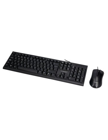 SET TECLADO RATON Q-CON.CABLE NG.