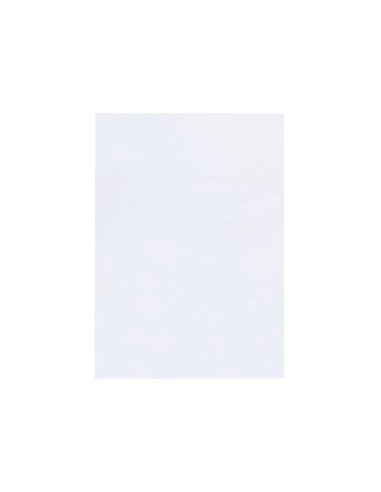 TAPA ENCUADERNACION PP DIN A4 TPTE.-ESPESOR 0,8 MM PACK 50U**22534 TAPA ENCUADERNACION PP DIN A4 TPTE.-ESPESOR 0,8 MM PACK 50U**22534