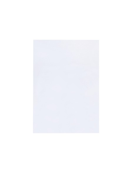 TAPA ENCUADERNACION PP DIN A4 TPTE.-ESPESOR 0,8 MM PACK 50U**22534 TAPA ENCUADERNACION PP DIN A4 TPTE.-ESPESOR 0,8 MM PACK 50U**22534