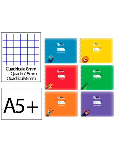 CUADERNO GRAP. LIDERPAPEL A5 T.CARTON PAUTAGUIA 8MM 32H. 70GR. SURT.