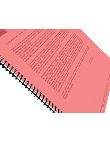 TAPA ENCUADERNACION PP.A4 0.5MM RJ. TRANS.PQ.DE 100 UD.