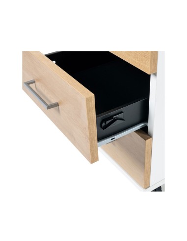 CAJONERA ROCADA 2 CAJ.SERIE STORE 58X40X59,5 CM AB01 AL./HAYA