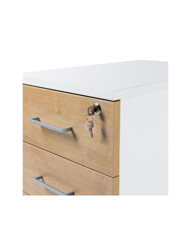 CAJONERA ROCADA 2 CAJ.SERIE STORE 58X40X59,5 CM AB02 AL./GRIS