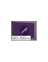 EXPOSITOR MURAL ARCHIVO 2000 COMP. PARED ADH.PO TPTE.DIN A3 420X300MM 2