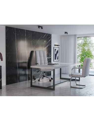 SILLA Q-CON.  PIA VE SIMIL PIEL BASE MET.ALT MAX 1050X610X680 BL.