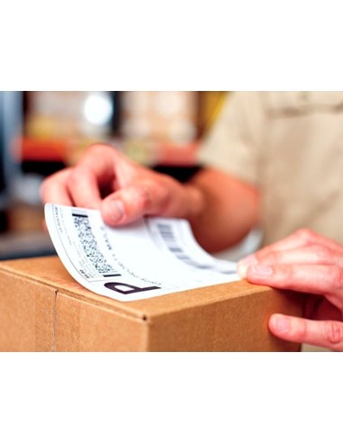 ETIQUETA ADH. DYMO LABELWRITER ENVIO 104X159MM BL. 4XL/5XL 220 UD.