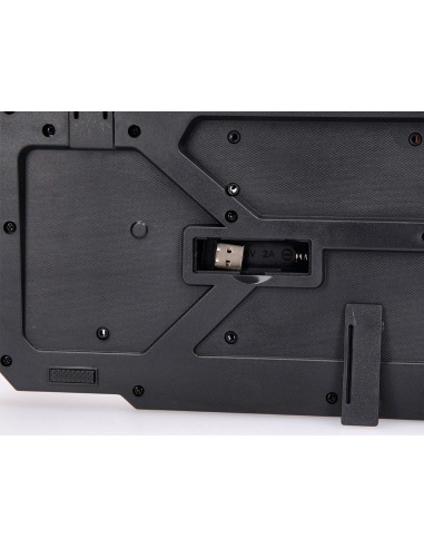 SET TECLADO RATON Q-CON.INALAMBRICO COMP.WINDOWS NG.