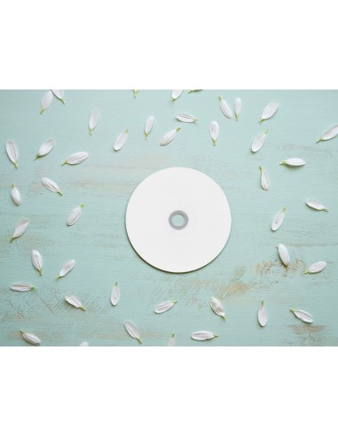 DVD-R Q-CON. IMP. CARTUCHO 4,7GB DURACION 120MIN 16X 25 UD.