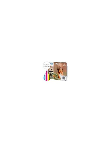 C13T379D4010 CARTUCHO EPSON 378 XL EXPRESSION HOME RAINBOW 830 PG.