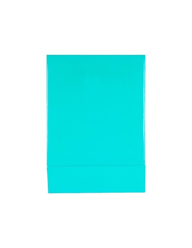 CAJA ARCHIVADOR PALANCA DOCUMENTA A4 CARTON LOMO 75MM VE. CL.