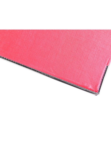 ARCHIVADOR ESTRECHO PALANCA DOCUMENTA FL PVC RADO LOMO 52MM RJ.