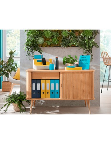 BANDEJA PLAST.LEITZ COSY AM. 274X62X391MM