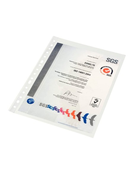 FUNDA MULTITALADRO ESSELTE A4 PP 80 MC 16 T P.NARANJA PACK100 **71834