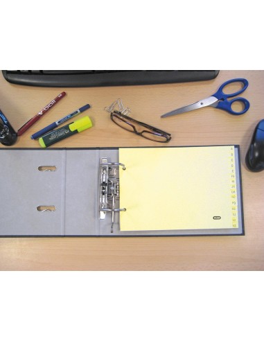 SEP.APAISADO ALFABETICO ELBA CLASIF.CARTULINA   ARCH.FL.