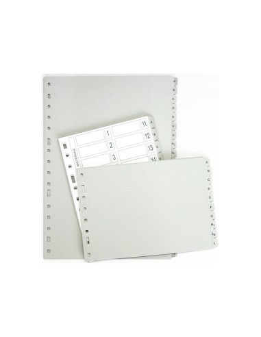 SEP.ALFABETICO MULTIFIN PLASTICO 3002