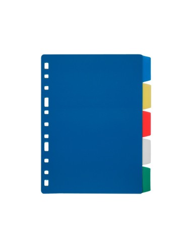 SEP.LIDERPAPEL PLASTICO JUEGO 5 SEP.4º 11 TAL.