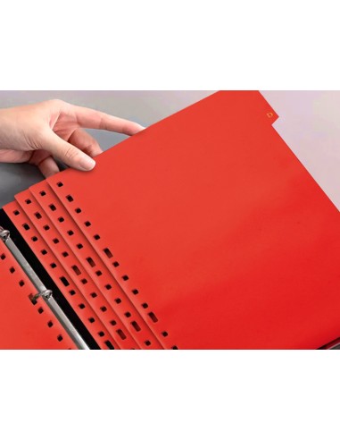 SEP.ALFABETICO PLASTICO A-Z 4º