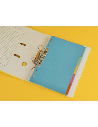 SEP.Q-CONNECT CARTULINA JUEGO 5 SEP.DIN A4 MULTITAL.