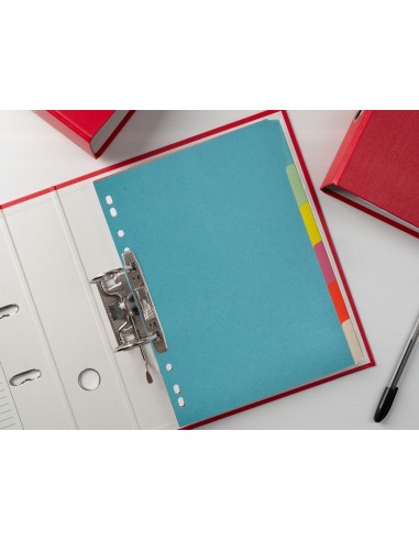 SEP.Q-CONNECT CARTULINA JUEGO 6 SEP.DIN A4 MULTITAL.