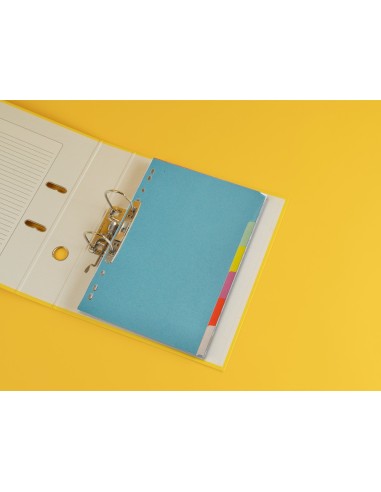 SEP.Q-CONNECT CARTULINA JUEGO 6 SEP.DIN A4 MULTITAL.