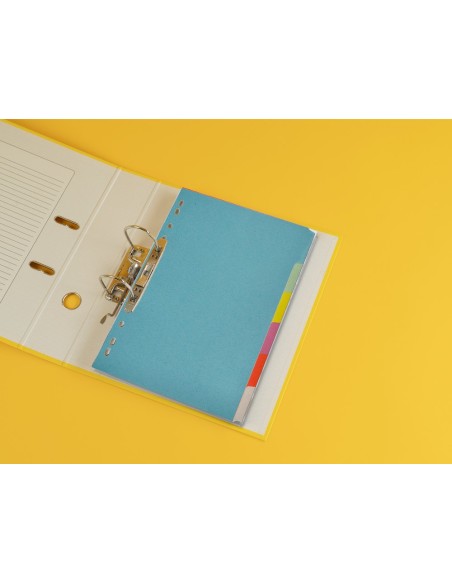 SEP.Q-CONNECT CARTULINA JUEGO 6 SEP.DIN A4 MULTITAL.