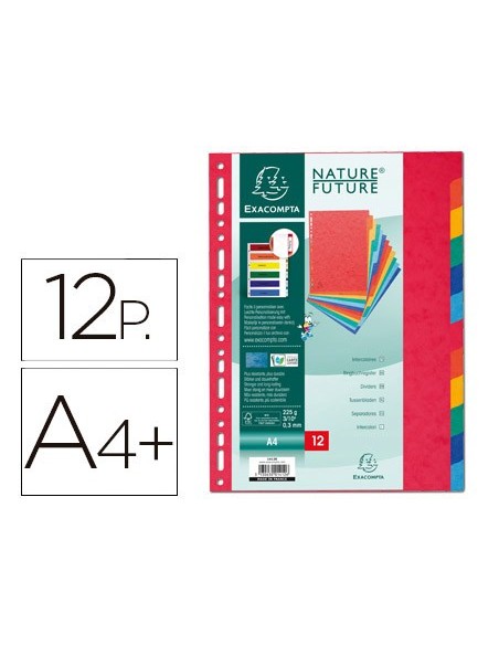 SEPARADOR EXACOMPTA CARTULINA SIMIL PRESPANJ/12 SEP.A4+ MULTI.VIVOS