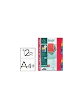 SEPARADOR EXACOMPTA CARTULINA SIMIL PRESPANJ/12 SEP.A4+ MULTI.VIVOS 2