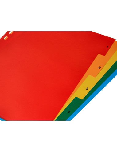 SEP.Q-CON.PLASTICO JUEGO 5 SEP.A4 MULTITALADRO