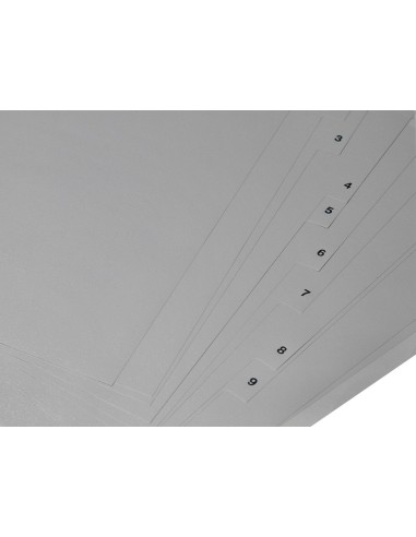 SEP.NUMERICO Q-CON.PLASTICO 1-12 JUEGO 12 SEP.A4 MULTITALADRO