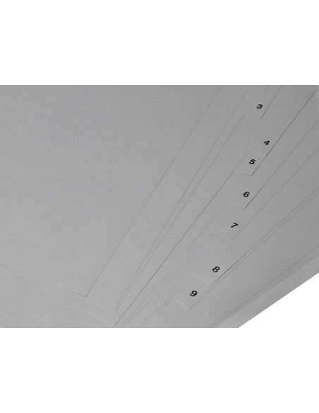 SEP.NUMERICO Q-CON.PLASTICO 1-12 JUEGO 12 SEP.A4 MULTITALADRO