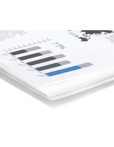 CARPETA ESCAPARATE C/ESP..40 FUNDAS PP.A4 TPTE.