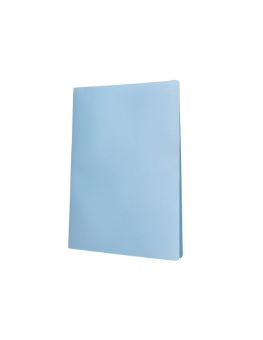 CARPETA ESCAPARATE 60 FUNDAS PP.A4 CEL.OPACO