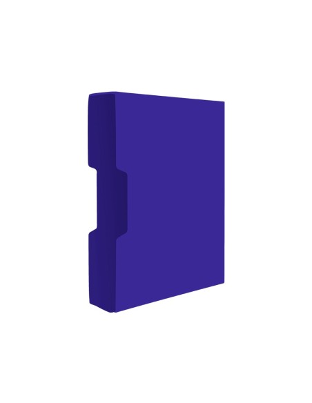 CARPETA ESCAPARATE 100 FUNDAS PP A4 AZ.C/CAJETIN