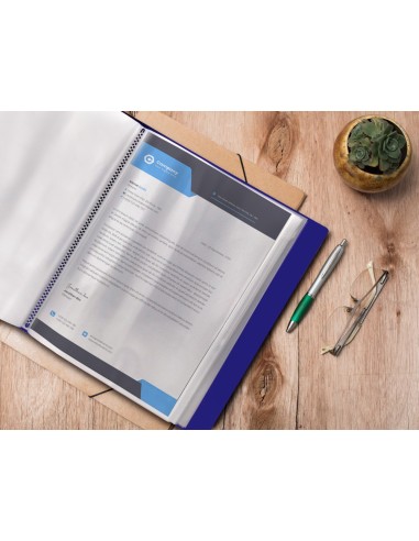 CARPETA ESCAPARATE 100 FUNDAS PP A4 AZ.C/CAJETIN