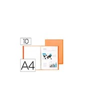 CARPETA ESCAPARATE 10 FUNDAS PP A4 NJ.FROSTY 2