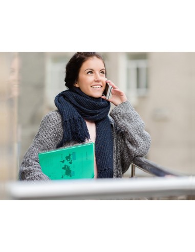 CARPETA ESCAPARATE C/ESP.40 FUNDAS PP A4 VE.