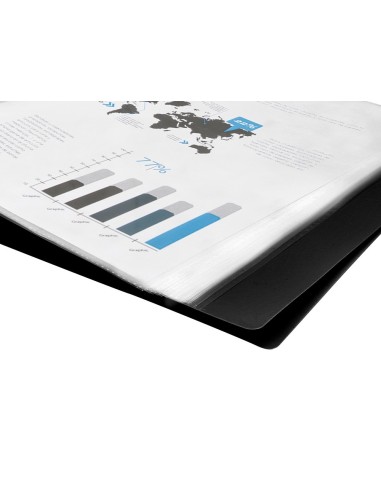 CARPETA ESCAPARATE 40 FUNDAS PVC FL.NG.OPACO