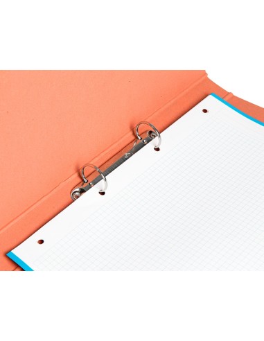 CARPETA 2 A 25 MM CARTON CUERO FL.