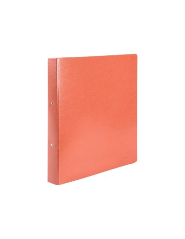 CARPETA 2 A 25 MM CARTON CUERO FL.