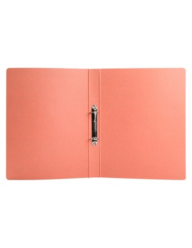 CARPETA 2 A 25 MM CARTON CUERO FL.