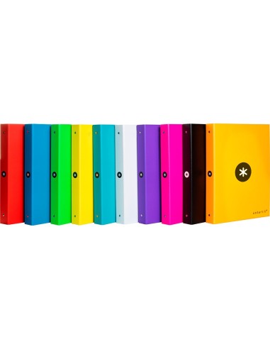 CARPETA 4 ANILLAS 40MM MIXTAS ANTARTIK A4 FORRADA SURT