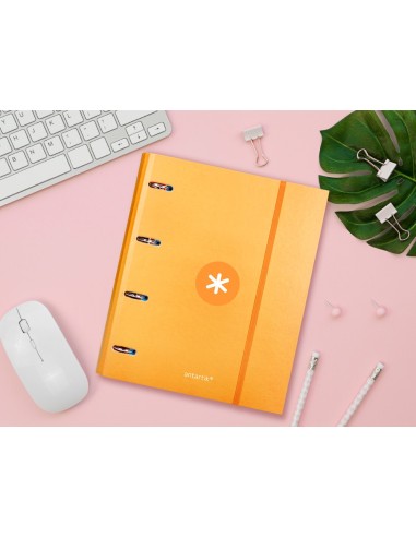 CARPETA RECAMBIO  ANTARTIK A4 5MM FORRADA 4AN.REDONDAS 40MM MOSTAZA