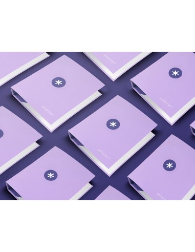 CARPETA 4 ANILLAS 40MM MIXTAS ANTARTIK A4 FORRADA LAVANDA