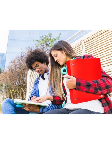 CARPETA LIDERPAPEL 4AN.MIXTAS 40MM PP.A4 RJ. TRANSLUCIDO