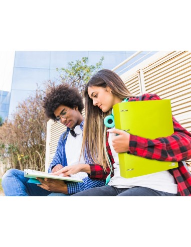 CARPETA LIDERPAPEL 4AN.MIXTAS 40MM PP.A4 AM. FLUOR OPACO