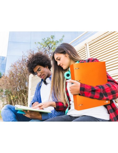 CARPETA LIDERPAPEL 4AN.MIXTAS 40MM PP.A4 NJ. FLUOR OPACO