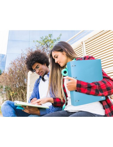 CARPETA LIDERPAPEL 4AN.MIXTAS 40MM PP.A4 CEL. OPACO