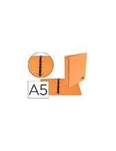 CARPETA 4º 4 ANILLAS 25 MM REDONDAS LIDER CARTON FORR PVC NJ 2